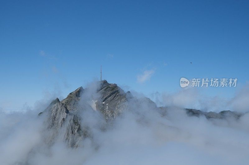 Säntis peak, peeking through the clouds, as seen from Fliskopf.